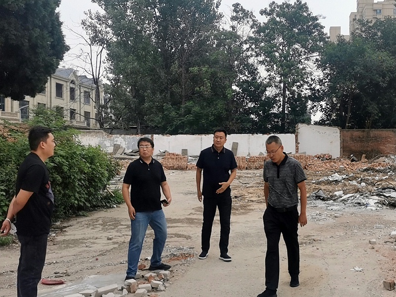 平博pinnacle公司人员考察莱发项目现场